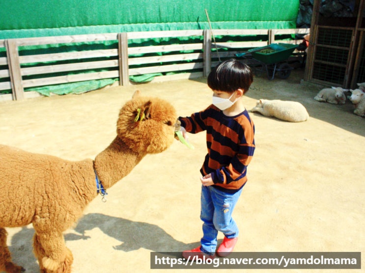  인천실내동물원 프렌쥬랜드 다녀왔어요.