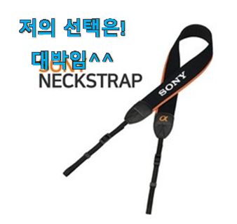  꼼꼼히 비교해보고 찾은 SNS대박 라이카 q2 꿀템상품 찾았습니다! 추천!