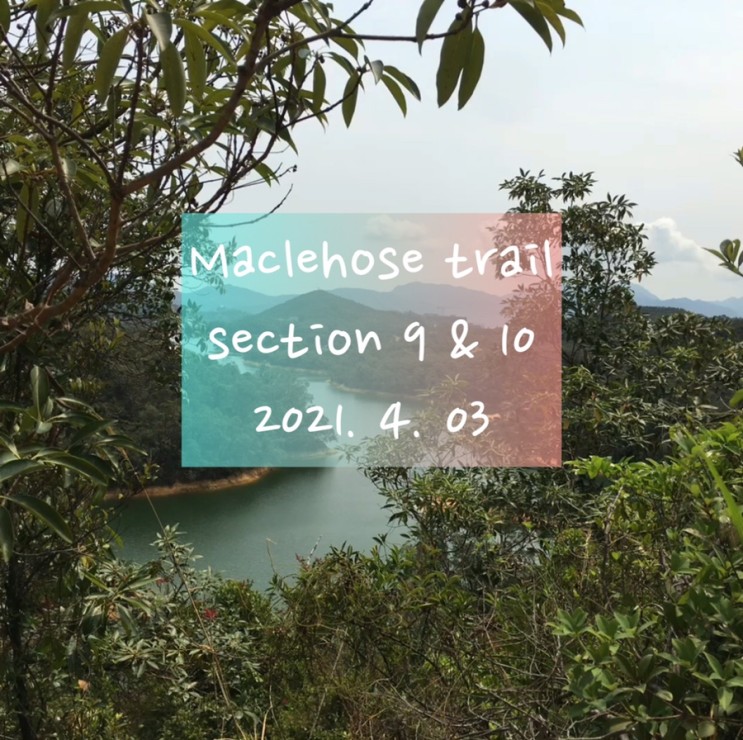 홍콩 하이킹 Maclehose trail 100km 완주 - section9, 10