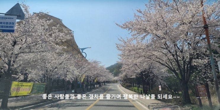 2021년 4월의 어느 봄날... 2021년 4월의 어느 봄날...