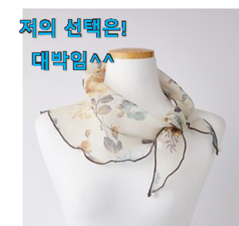  사람들이 찾는덴 이유가 있었네요 초대박 아이엘드 스카프 선택 소개합니다 남편도 인정하네요