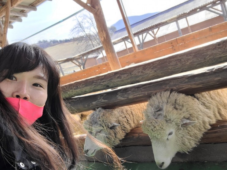  2020.12.8 : 혼자하는여행