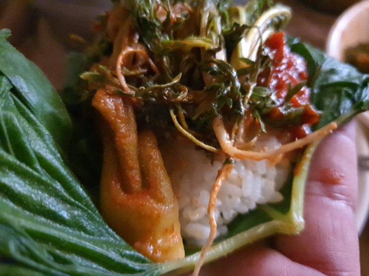 찔룩 찔룩