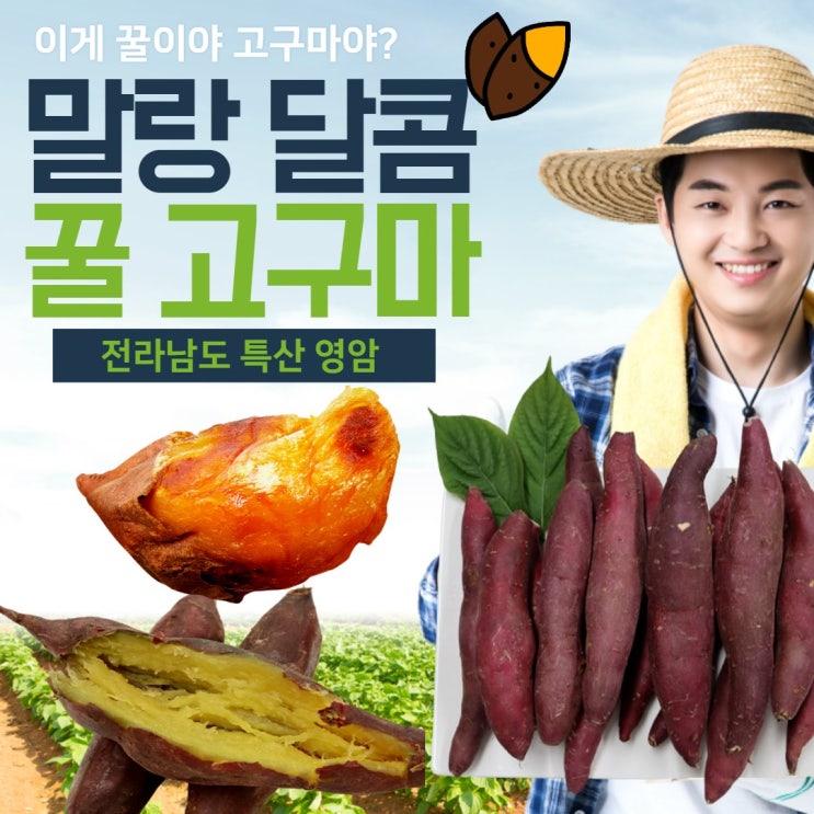 최근 많이 팔린 엄마표밥상 맛있는 달콤한 촉촉한 얄라핀 성인 아이들 유아 어린이 캠핑 영양 간식 음식 식품 한입 리얼 세척 영암 호박 밤 꿀 고구마 3kg, 1박스, 한입 3kg 최근 많이 팔린 엄마표밥상 맛있는 달콤한 촉촉한 얄라핀 성인 아이들 유아 어린이 캠핑 영양 간식 음식 식품 한입 리얼 세척 영암 호박 밤 꿀 고구마 3kg, 1박스, 한입 3kg