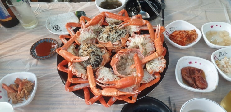  [리뷰볼래] 속초 홍게나라 | 국내맛집여행 | 강원도 바다