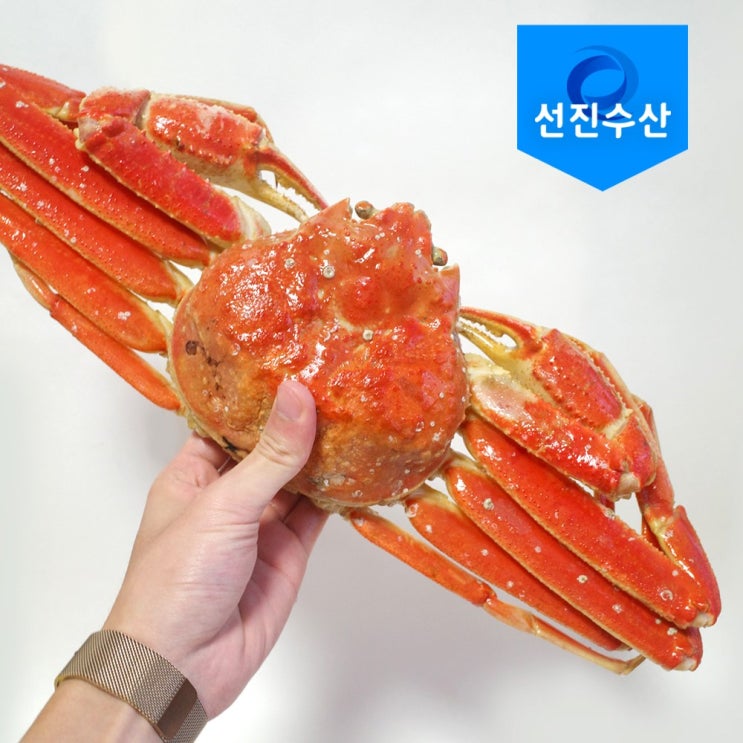 요즘 인기있는 선진수산 대게 맛난 대게! 러시아 자숙대게 (1.2kg 3kg 5kg), 5kg 추천해요