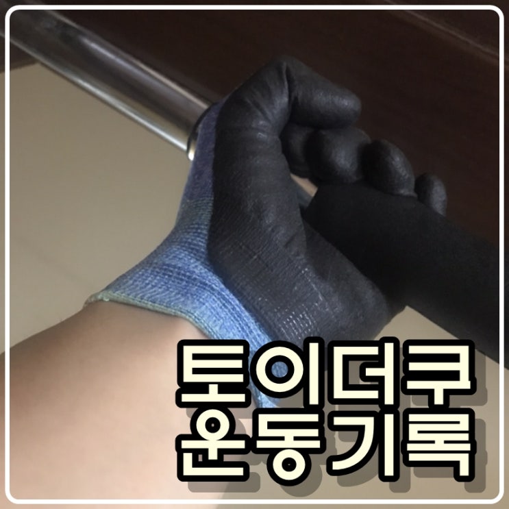 토이콜렉터 손대니의 운동기록 '턱걸이(풀업), 스쿼트' -210408