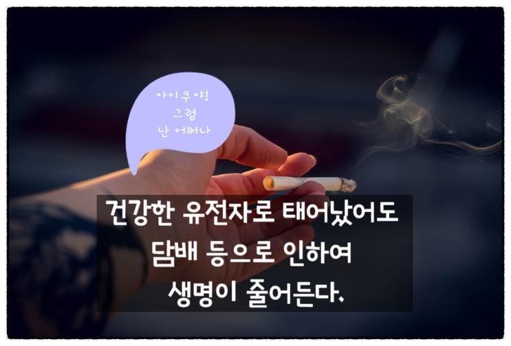  '담배' 하루 한 갑이 수명을 약 7년 단축.