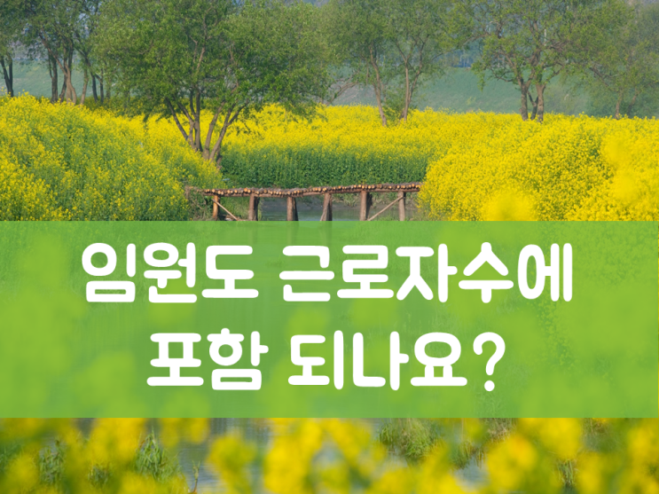  임원도 근로자수에 포함 되나요?