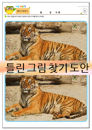  틀린그림찾기 도안! 집중력 키우기에 딱~