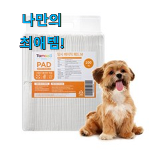  이렇게 좋은건 저만 알수 없죠 입소문난 강아지 패드 중형 목록 이네요. 참 맘에드는군요
