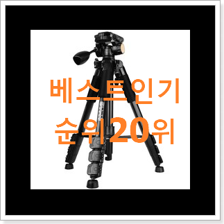 고민끝에 선택 후지필름카메라 상품 인기 순위 랭킹 20위 고민끝에 선택 후지필름카메라 상품 인기 순위 랭킹 20위