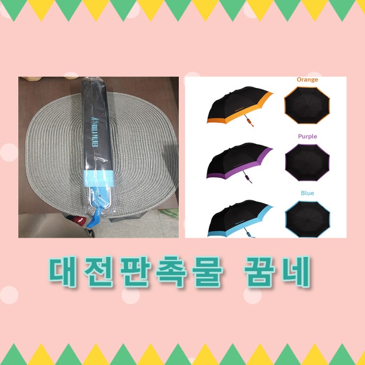  아놀드파마_2단 우산 납품