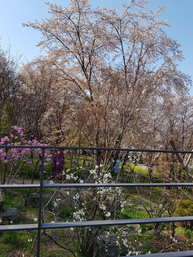 안산 이풀 실내 정원 & 유니스의 정원 힐링하기 좋은 곳 무료 주차 및 입장료 없음 안산 이풀 실내 정원 & 유니스의 정원 힐링하기 좋은 곳 무료 주차 및 입장료 없음
