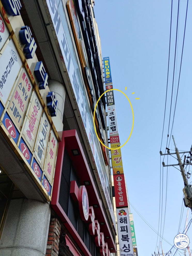  [내돈내산]부산하단 크랩크랩 대게찜세트