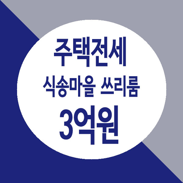  불암산 기운의 별내 식송마을, 거실 주방 분리된 쓰리룸 식송마을전세