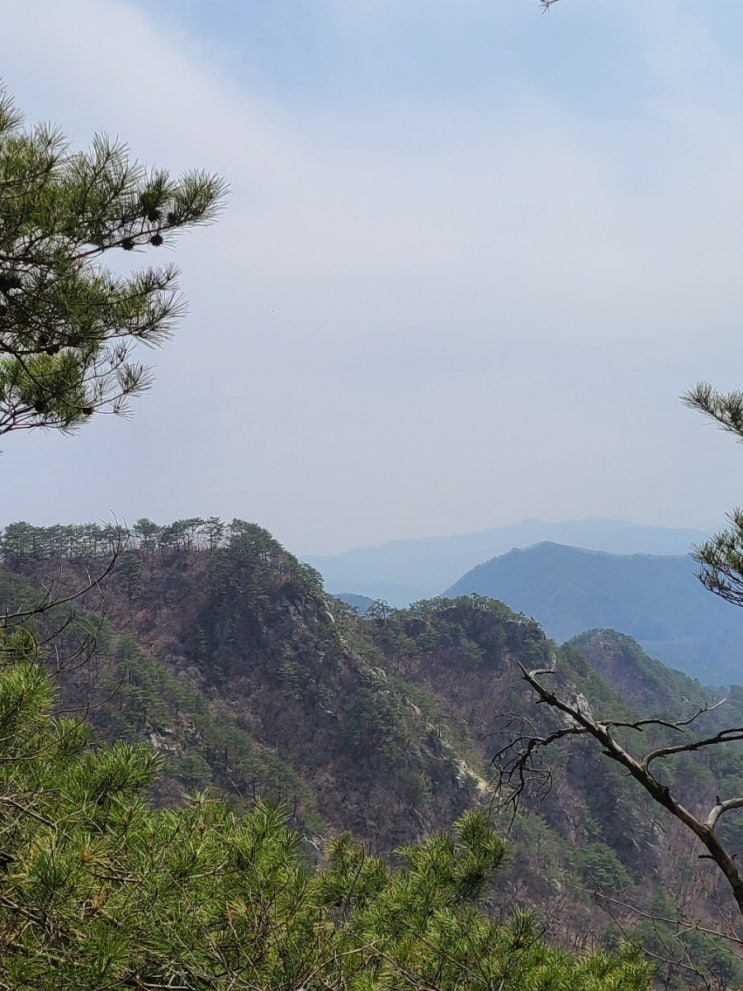  100대명산-2, 춘천 오봉산 최단코스 등산(배후령고개~제1, 2, 3, 4봉~청솔바위~오봉산~원점)