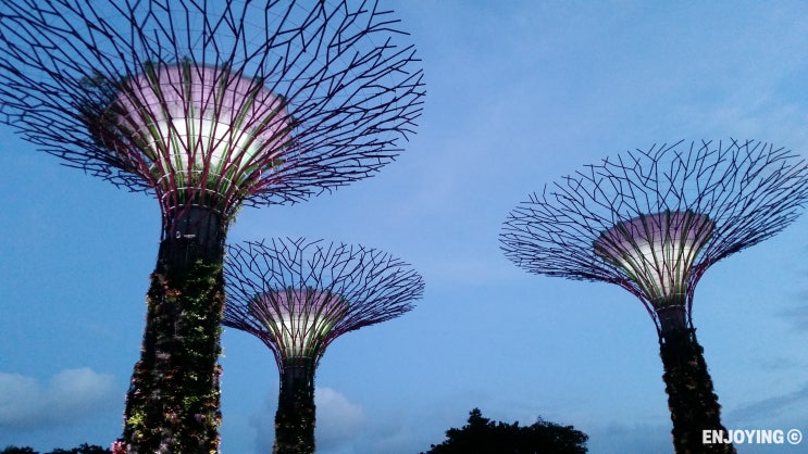 이시국 방구석 세계여행 싱가포르 관광지 베스트 6