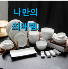  꼼꼼히 비교해보고 찾은 신뢰가는 4인 접시 굿 클릭 알아보자 안사곤 못 참겠어요 ㅋㅋ