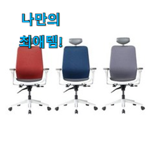  가성비 좋다고 소문났어요 매혹적인 듀오백 메쉬 의자 갓템상품 드디어 발견 선물하기에도 좋은듯 해요