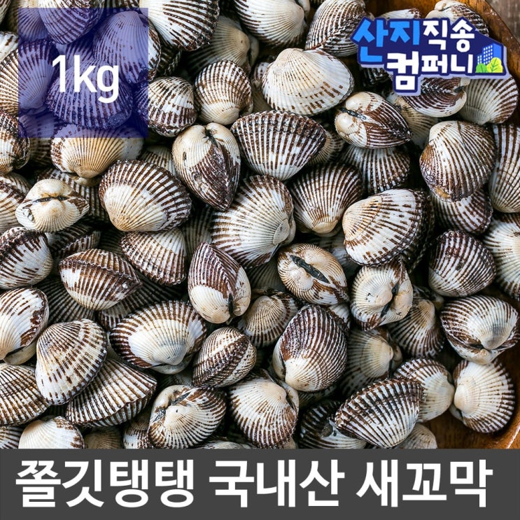 리뷰가 좋은 산지직송 국내산 활 새꼬막 1kg, 9963 추천해요