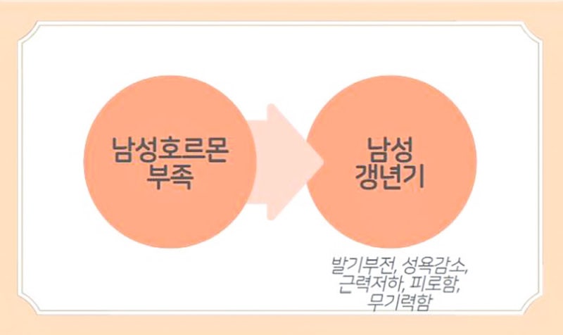 [영양제] 남성 갱년기 증상과 여성 갱년기 증상 혹은 모발이 얇아지면서 탈모 초기 필수영양제 <서리태환 하수오환> 8