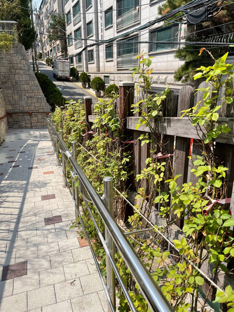 코린이들을 위한 어거 코인(Augur) 소개 및 전망 : 네이버 블로그