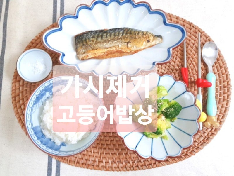 가시제거연구소 고등어밥상 가시 없는 고등어구이로 온가족이 즐겨요!/내돈내산♥