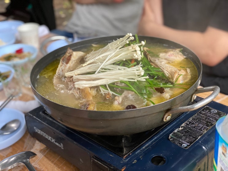  [안양 맛집] 은행나무집 (계곡 백숙)
