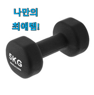  사용 만족도가 높았던 현명한소비 덤벨 5kg 물건 봐보세요. 선물하기에도 좋은듯 해요