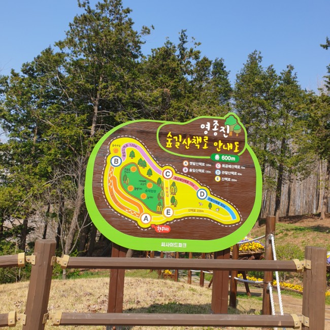  [영종도_아이랑] 벚꽃 숲놀이터 영종진공원