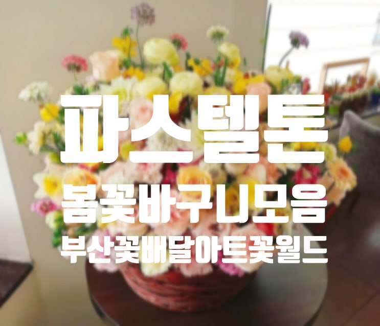  부산 꽃집 26년 경력 아트꽃월드의 봄 인기상품 파스텔톤 꽃바구니 부산 꽃 배달 모음