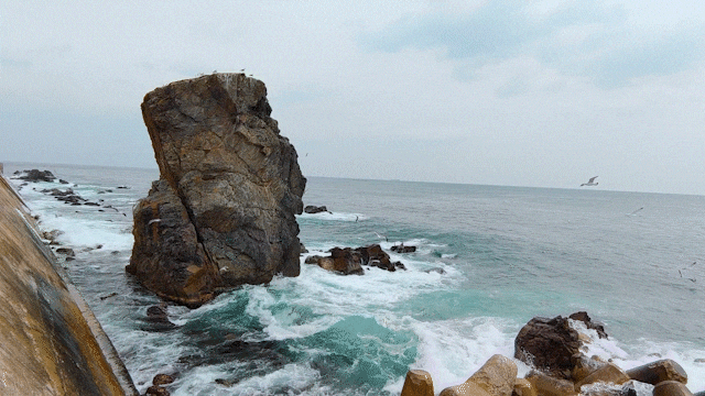 묵호항 수변공원 까막바위 동해바다를 걷는 기분 묵호항 수변공원 까막바위 동해바다를 걷는 기분