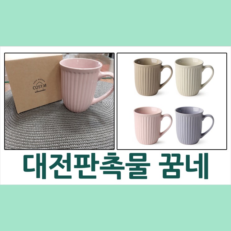  대전판촉물 MBC기상캐스터 박찬송님 보니또 머그컵 납품