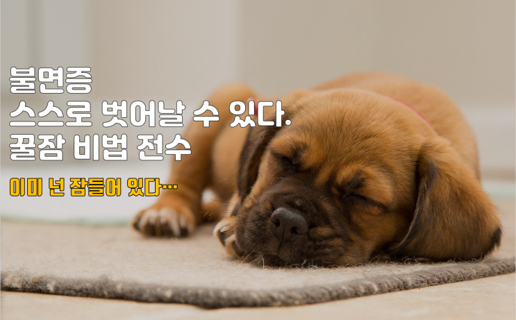 불면증에서 벗어날 수 있는 특급비법 : 잠을 연합시키기