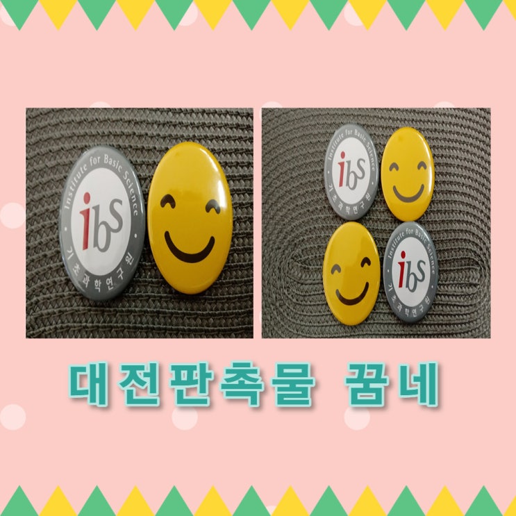  대전 기초과학연구원 핀뱃지 대전판촉물 꿈네에서
