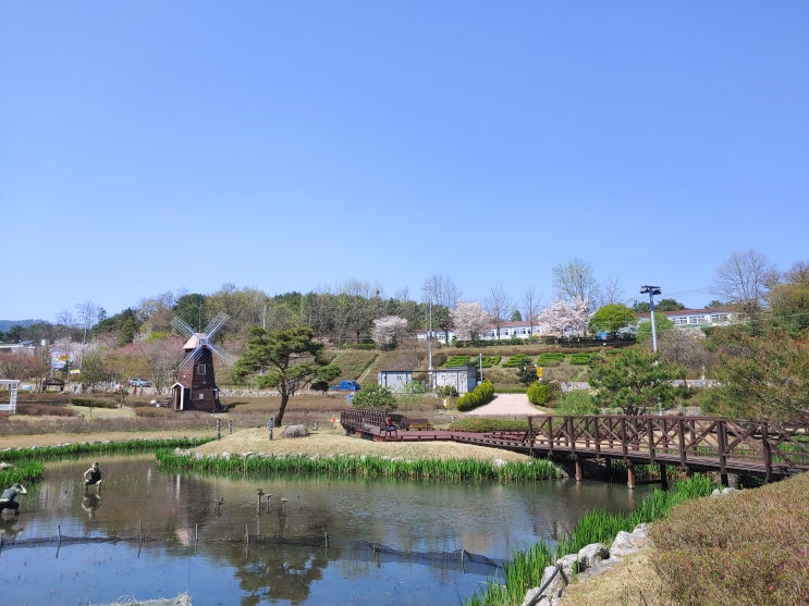 대전광역시 여행 (대청호자연수변공원)