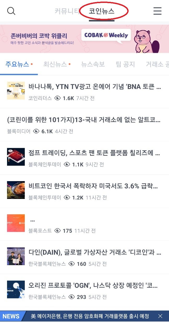 코박토큰 반등할 수밖에 없는 이유, 전망과 호재 싹~ 정리! : 네이버 블로그