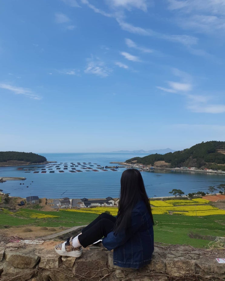  완도 /부엉이 밤 여행_청산도 구경하기!