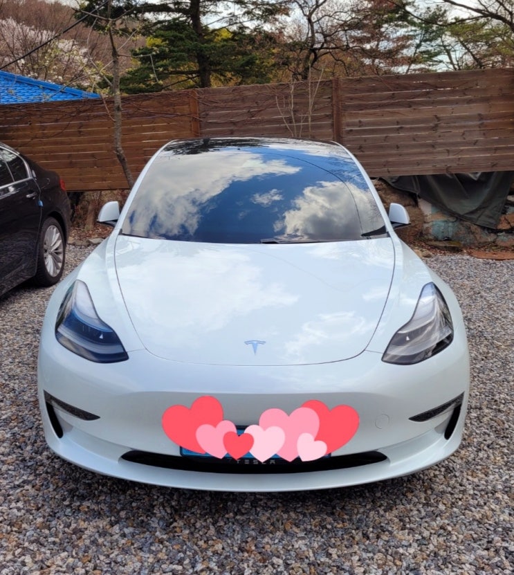  "테슬라 모델 3(Telsa Model 3) 구입후기 2! 테슬라가 내게로 (Part #2 : 안 & 밖)