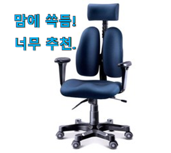  골라골라 듀오백 의자 꿀템 좋은거 인정이죠.
