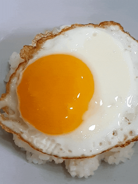  [편한부엌] 달콩간장ㅡ수제간장, 집밥요리, 맛간장,저염간장,캠핑요리를 쉽게 할 수 있어요.