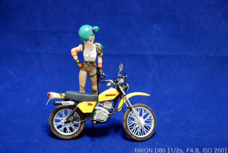 Bulma(부르마)-세미나 Bulma(부르마)-세미나