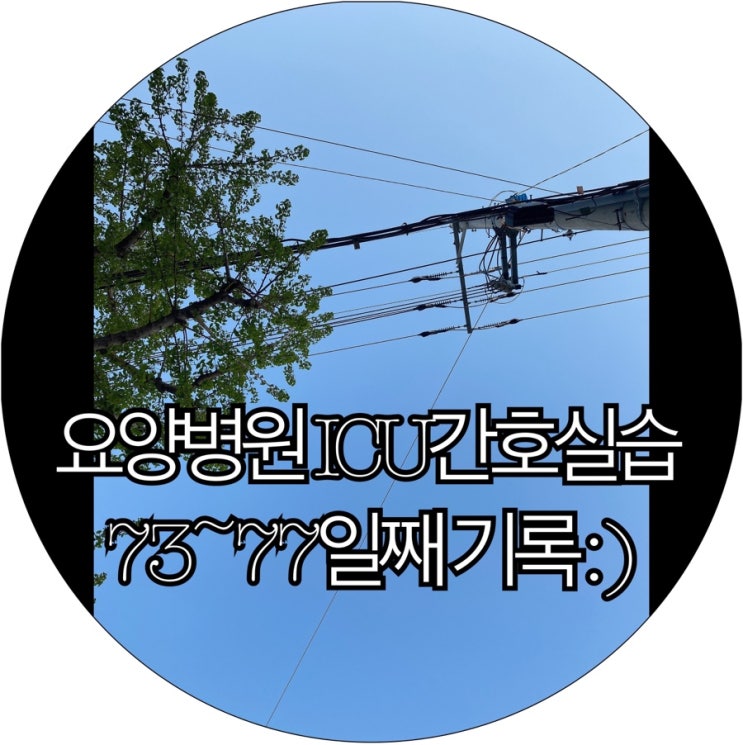  [간호조무사실습생 은느님]요양병원 ICU간호실습 73~77일째 기록 : )