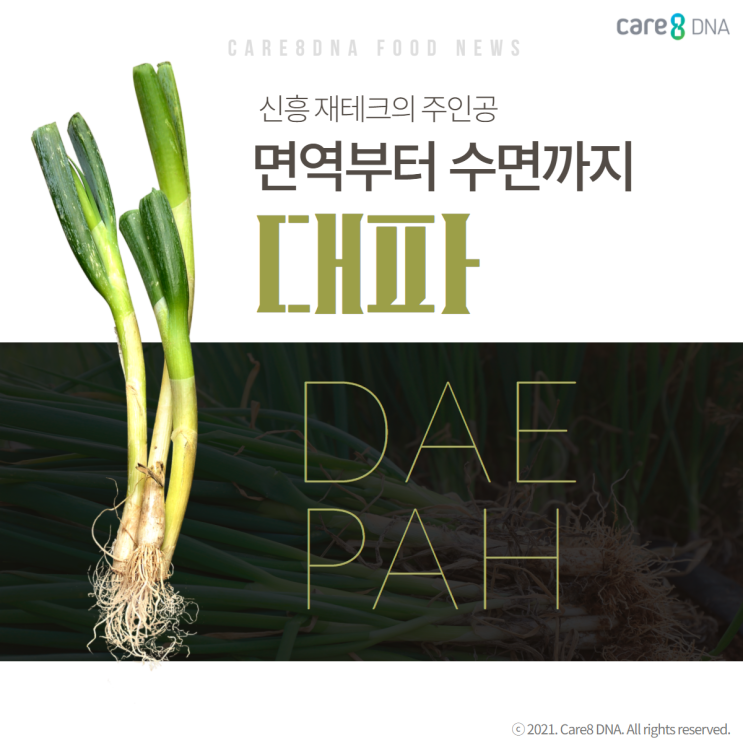  [건강한] 면역부터 수면까지 한번에! 대파로 해결해요