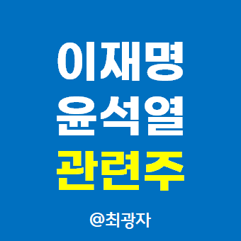  이재명 윤석열 관련주 완벽 분석 - 대선 정치인 테마주 대장주 주가