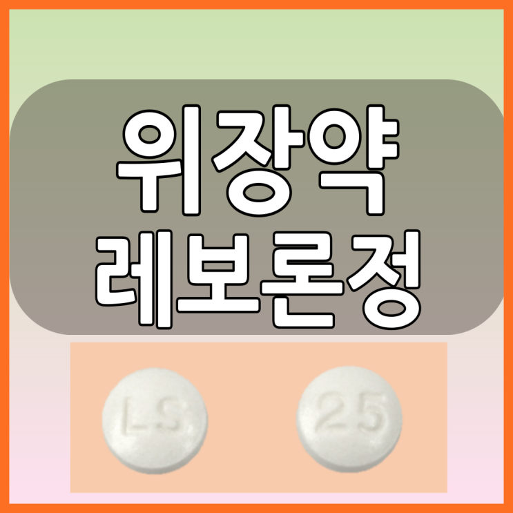 레보론정25mg 위장관운동조절제 부작용과 효능 체크해봅시다