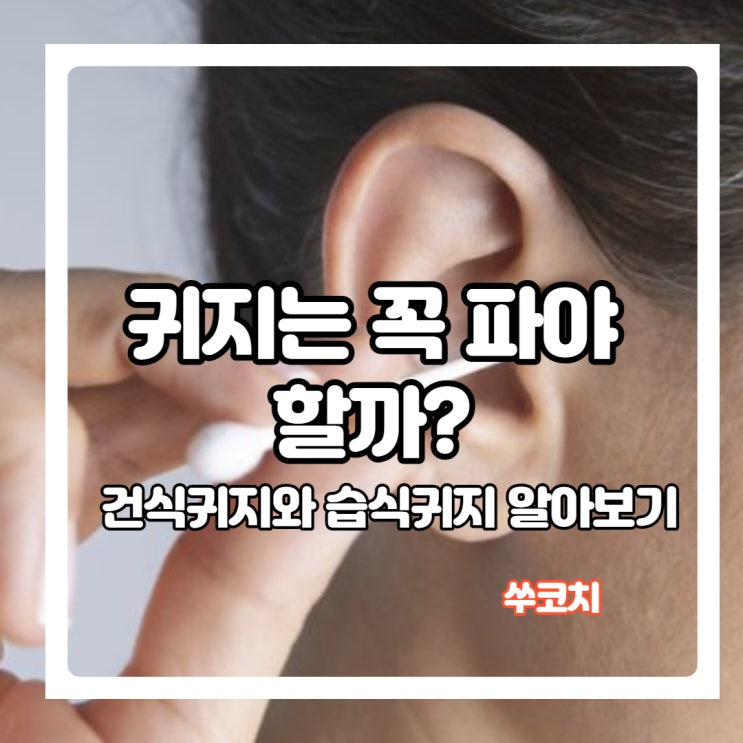  귀지는 꼭 파야 할까? 건식귀지와 습식귀지에 대해 알아보기!