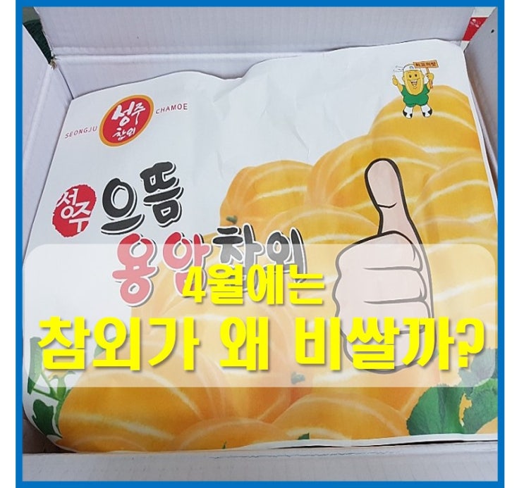  성주참외가격이 4월에 비싼 이유