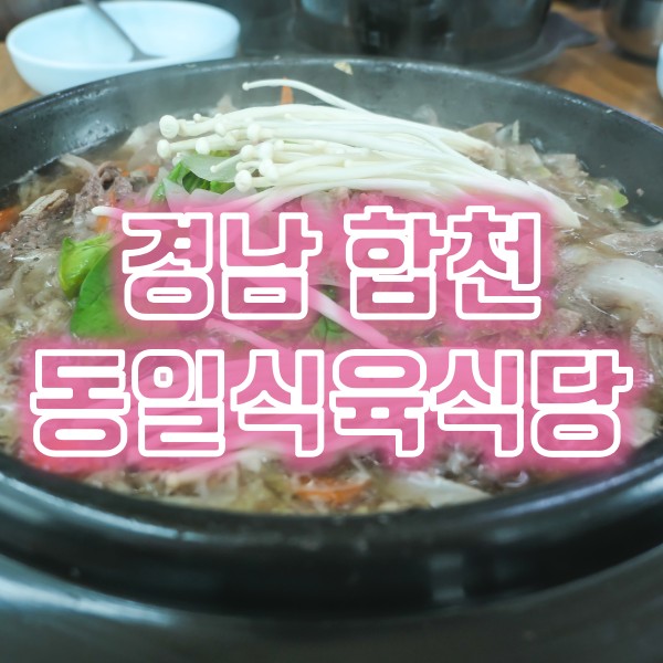합천 한우 맛집 동일식육식당 한우불고기전골, 한우육회비빔밥, 한우갈비탕